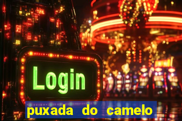 puxada do camelo no jogo do bicho